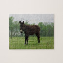 Recherche de donkey puzzles Ferme