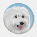 Recherche de polonais magnets Blanc