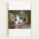 Recherche de yeux bureau fournitures Chaton mignon