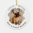 Recherche de chien mignon animaux articles Toute personne