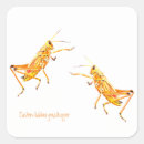 Recherche de grasshopper autocollants Faune