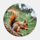 Recherche de écureuil de ornements Animal