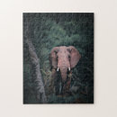 Recherche de éléphant africain puzzles Éléphants