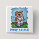 Recherche de st bernard badges Chien