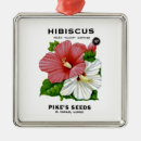 Recherche de hibiscus ornements Jardin