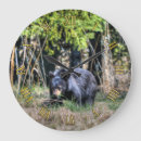 Recherche de ours horloges Faune