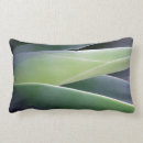 Recherche de agave coussins Nature