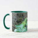 Recherche de iguanes tasses Green