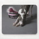 Recherche de parqueter tapis souris Horizontal