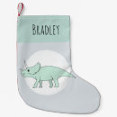 Recherche de dinosaure chaussette de noël Nom