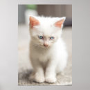 Recherche de animaux de bébé posters Assis