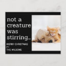 Recherche de humour chat vacances cartes postales Amusant