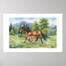 Recherche de poulain posters Poney