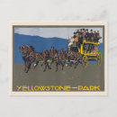 Recherche de décor cheval cartes postales Équestre