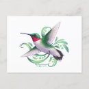 Recherche de colibri de dessin cartes postales Oiseaux