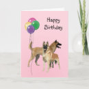 Recherche de anniversaire belge malinois Animal
