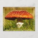 Recherche de toxique cartes postales Champignon