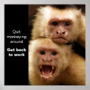 Recherche de singe posters Drôle
