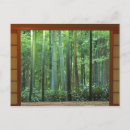 Recherche de rob cartes postales Kyoto