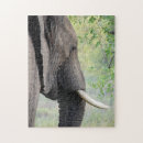 Recherche de éléphant africain puzzles Animal sauvage