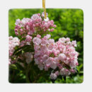 Recherche de laurier ornements Fleurs