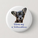Recherche de chihuahua badges Animaux