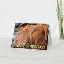 Recherche de dogue de bordeaux cartes postales Mignon