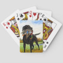 Recherche de chasse jeux de cartes Animal