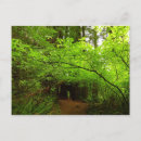 Recherche de érable cartes postales Nature