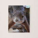 Recherche de écureuil puzzles Drôle