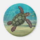 Recherche de espèce marine magnets Tortues
