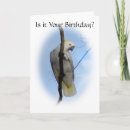 Recherche de indigène vœux cartes Oiseaux