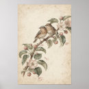 Recherche de oiseau chanteur posters Pour amateur d'oiseaux