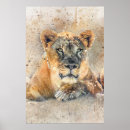Recherche de lioness posters Aquarelle