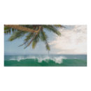 Recherche de cocotier posters Plage