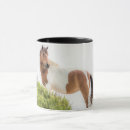 Recherche de pintor tasses Équin