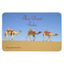 Recherche de chameau magnets Inde