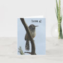 Recherche de roitelet vœux cartes Faune