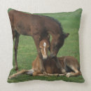 Recherche de poulain coussins Plomb langrish