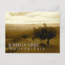 Recherche de arbre de joshua cartes postales Parc national