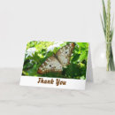 Recherche de fleur de jasmin vœux cartes Pour tous