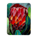 Recherche de fleurs rouges magnets Aquarelle