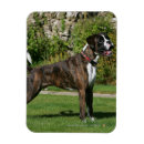 Recherche de expositions magnets Chien