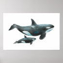 Recherche de orque posters Biologie marine
