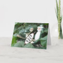 Recherche de grenouille humoristique vœux cartes Drôle