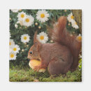 Recherche de champignons rouges magnets Nature