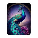 Recherche de paon magnets Coloré