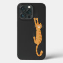 Recherche de propriétaire de chat coques Amoureux des chats