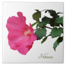 Recherche de nature 15x15 carreaux Jolie