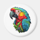 Recherche de bec maison deco Oiseau